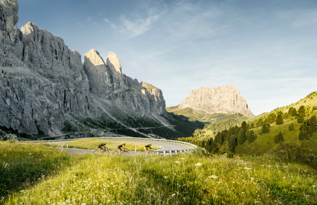 sellarondaquadr.png