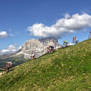77_freddy_planinschek_2013_sellarondahero.jpg