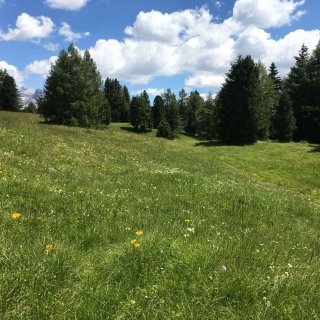 img_0217.jpg