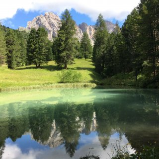 img_0342.jpg