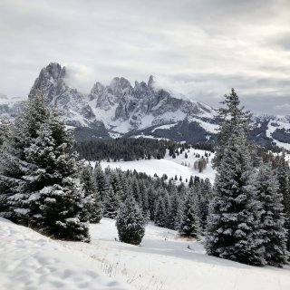 img_1847.jpg